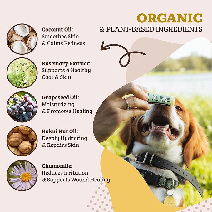 Natural Dog Company Snout Soother Travel Stick 4-Pack – 0.15 oz Chapstick-Size Sticks – Organic, Plant-Based, Lick-Safe Balm for Dry, Cracked, Crusty Noses – Value Bundle, Made in USA