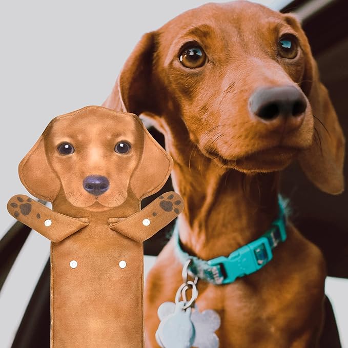 AGRIMONY Funny Dachshund Dog Hand Towels for Kitchen Bathroom - Dog Mom Dad Gifts for Women Men Teens Kids-Easter Mothers Fathers Days Valentines Housewarming Birthday Gifts for Animal Lovers