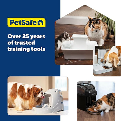 PetSafe Drinkwell Multi-Tier Pet Fountain - Encourages Hydration for Cats & Dogs - Large-Capacity Waterer - Double Tier - Filtered Fountain with Carbon Filter - 100 oz Water Capacity