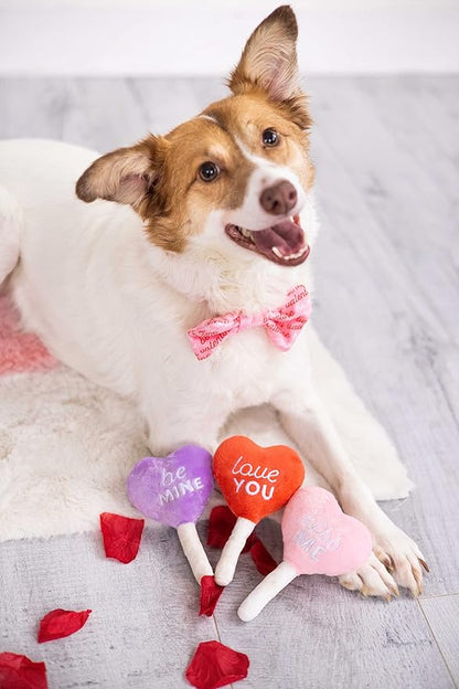 Pearhead Valentine’s Day Plush Squeaky Dog Toys – Candy Popsicle Dog Toy Set, Soft Chew Interactive Toys for Dogs, Set of 3