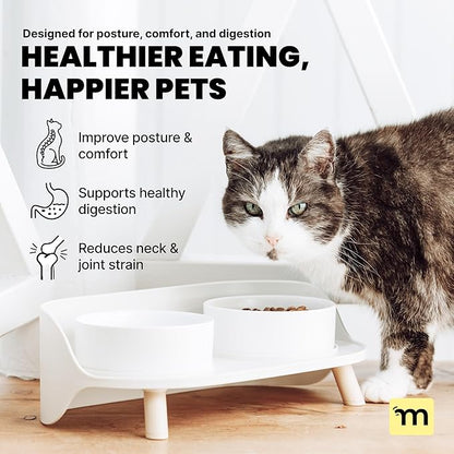 MalsiPree Dog Bowls Elevated & Pet Bowls - Small, Sand Beige - 45° Tilt Stand with Splash Guard - Dog Feeding Station with Ceramic Dishes for Food & Water