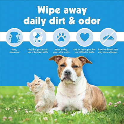 Petkin Large Pet Wipes for Dogs and Cats, 200 Count, Organic Oat Extract, Moistened with Gentle Cleaning Formula, Ideal for Home or Travel