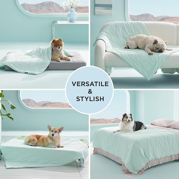 Bedsure Premium Cooling Dog Blankets for Bed - Q-MAX>0.5, Breathable Summer Washable Cold Pet Mat, Soft Durable Self Cooling Dog Mat for Hot Weather, Turquoise Green, 60x80