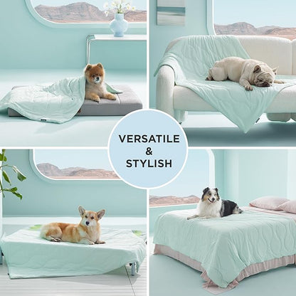 Bedsure Premium Cooling Blanket for Medium Dog - Q-MAX>0.5, Breathable Summer Washable Cold Pet Throw Blanket, Soft Durable Self Cooling Cat Mat for Hot Weather, Turquoise Green, 30x40