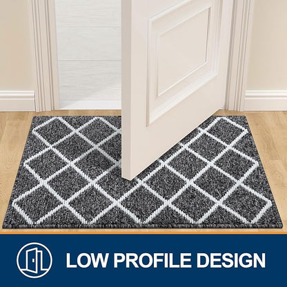 Finchitty Indoor Door Mat, Dirt Resistant and Absorbent, Low-Profile, Non-Slip, Washable Inside Floor Mats for Front Door, Back, and Entrance, 30" x 17", Black