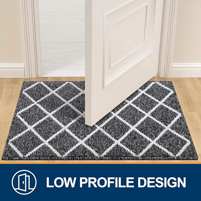 Finchitty Indoor Door Mat, Dirt Resistant and Absorbent, Low-Profile, Non-Slip, Washable Inside Floor Mats for Front Door, Back, and Entrance, 71" x 47", Black