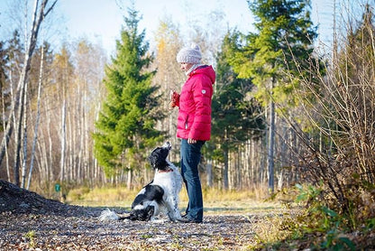 Durable Natural Rubber Ball on a Rope - Perfect Dog Training, Exercise and Reward Tool - Medium Size Dog Toy for Fetch, Catch, Throw and Tug War Plays – Happy Playtime Guaranteed