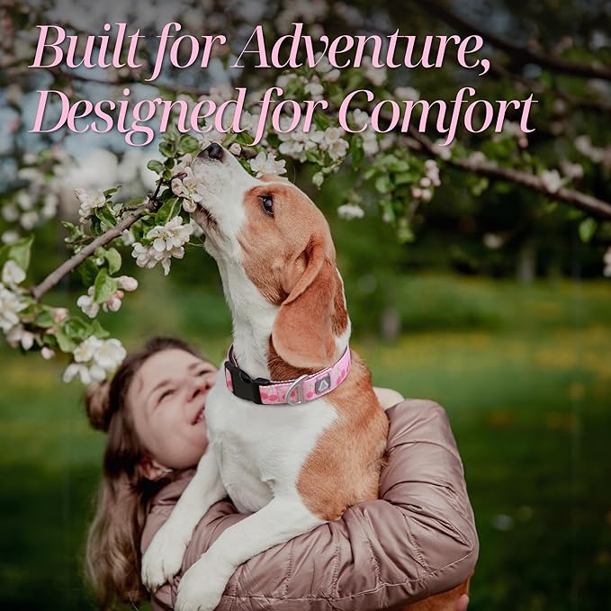 Girl Dog Collar, Pink Cute Cherry Print Reflective Padded Collar with Soft Neoprene, Adjustable Lightweight Pet Collar for Small Dogs, Puppies,Neck Size 9’’-14’’ (Cherry, S)