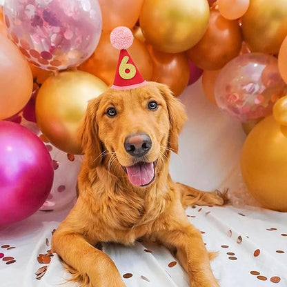 Pet Birthday Hat with Interchangeable Numbers 1-10 | Adjustable Pet Party Cone Hat for Dogs & Cats | Puppy Birthday Photo Props for 1st to 10th Birthday Celebrations (Red Birthday Pet Hat)