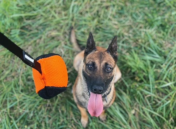 Dingo Gear French Linen Ball for Dog Training, as Reward for Fetch tug of war, with Long Handle, Handmade, Orange-Black S02814