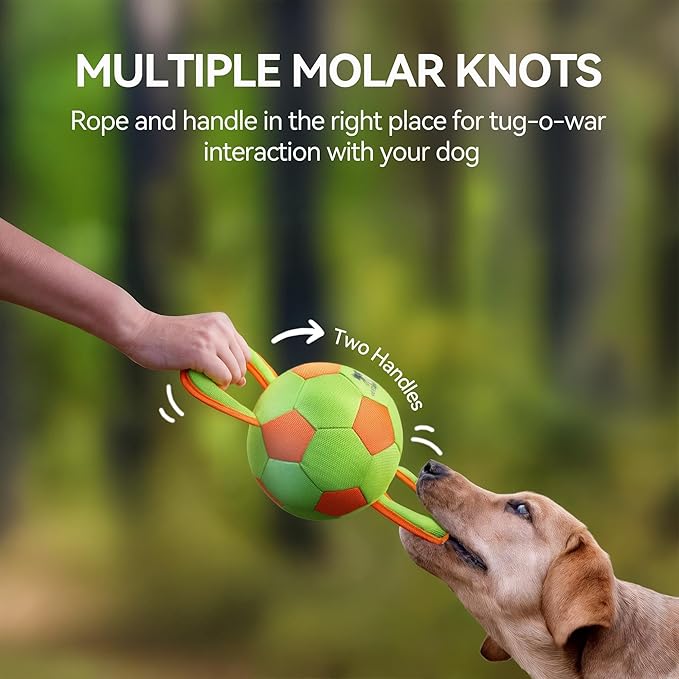 ALL FOR PAWS Dog Ball with Handles, Dog Toy with Squeaker, Interactive Tug of War Ball Toy for Small and Medium Dogs, 12.6 x 5.9 x 5.9 Inch