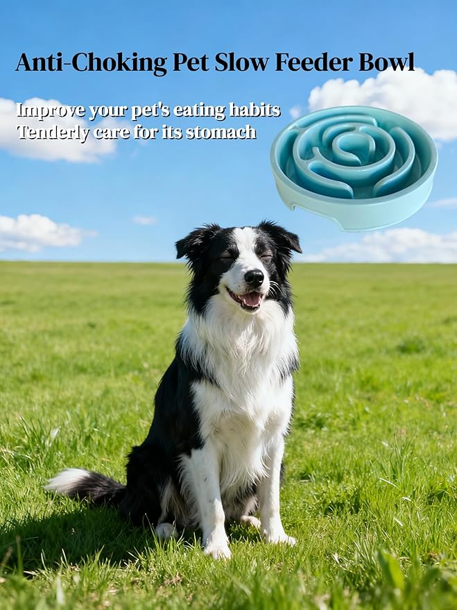 Pet Slow Feeder Bowl - Anti-Choking Maze Design, Universal for Dogs & Cats, Anti-Slip & Anti-Tip (Bowl-Light Blue)