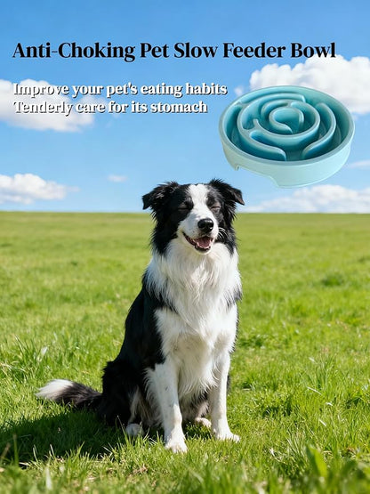 Pet Slow Feeder Bowl - Anti-Choking Maze Design, Universal for Dogs & Cats, Anti-Slip & Anti-Tip (Bowl-Light Blue)