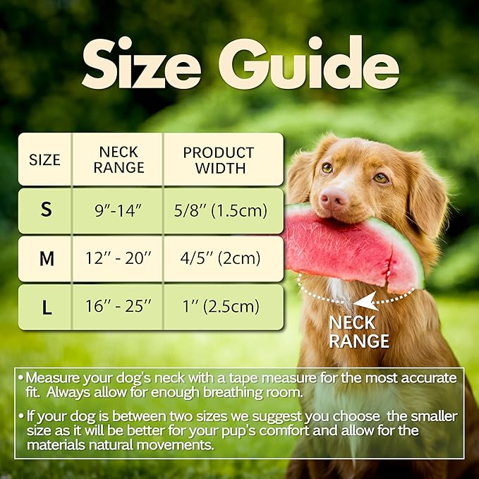 Cute Dog Collar, Summer Watermelon Pattern Adjustable Breathable Collar with Reflective Logo, Comfortable Padded Design Fits for Medium, Large Dogs, Neck Size 12’’-20’’ (Watermelon, M)