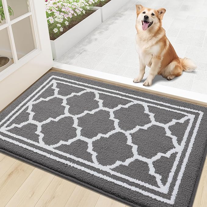 Buganda Indoor Door Mat, Dirt-Resistant and Absorbent Doormat, Anti-Slip, Low Profile Floor Mats for Inside Entryway, Front, and Back Door Entrance (30x17 Inches, Grey)