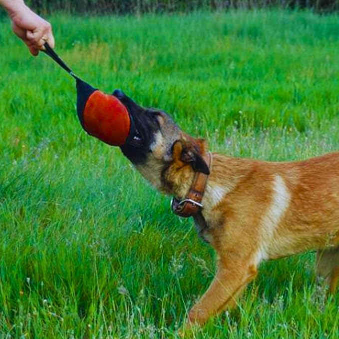 Dingo Gear Dog Tug Toy for Strong Dog, Bite Training, IGP, Fun, French Linen, Big Ball red S02781