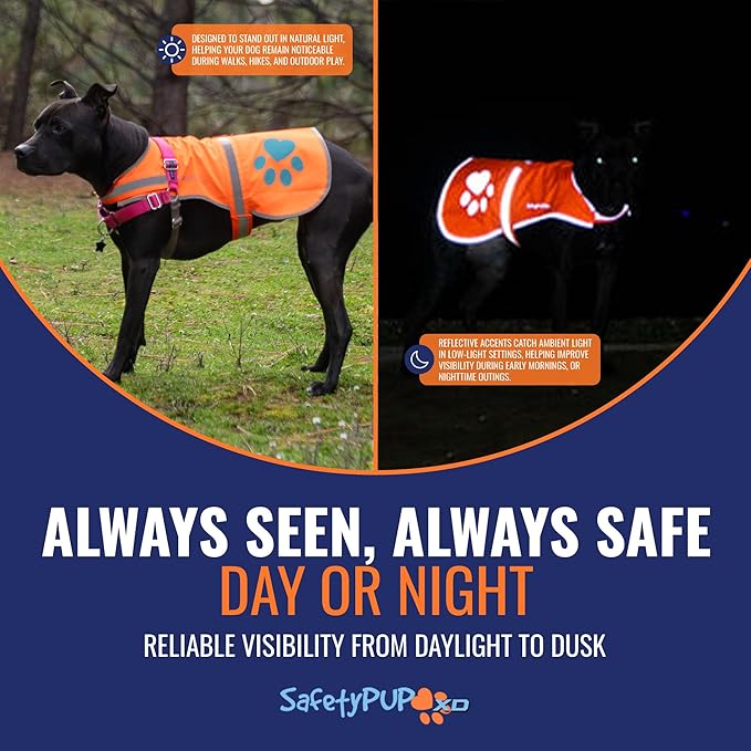 SafetyPUP XD Reflective Dog Vest. Hi-Visibility, Fluorescent Blaze Orange Dog Vest Helps Protect Your Best Friend. Safeguard Your PUP from Motorists & Hunting Accidents, On or Off Leash (Large)