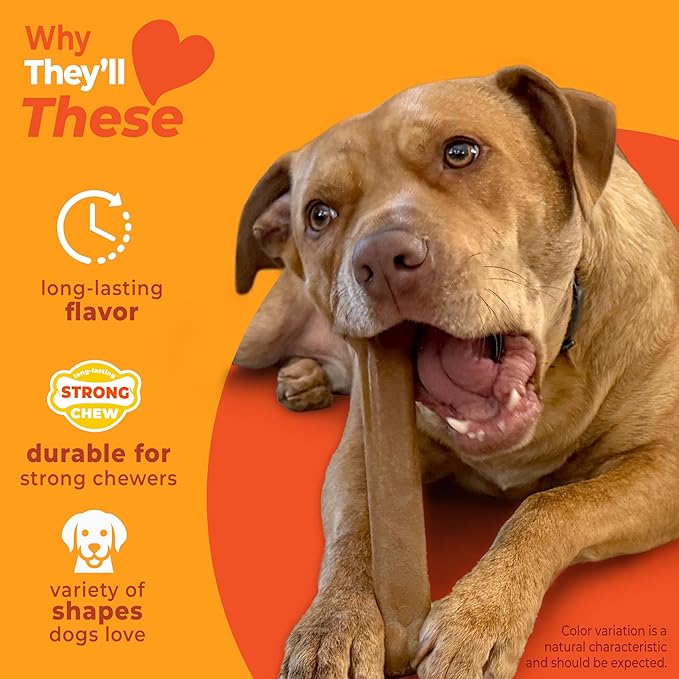 Nylabone Strong Chew Toy 4-Pack Bundle for Dogs Made with Real Bacon, Bison, Venison, Beef, & Chicken, Durable Dog Chew Bones for Aggressive Chewers, Large Dog Toys - Up to 50 lbs, 4 Count