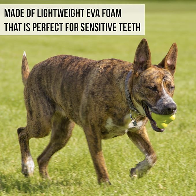 Hyper Pet Fetching Dog Toys - Throwing Bumpy Ball Dog Toy Made with EVA Foam - Lightweight & Floats on Water