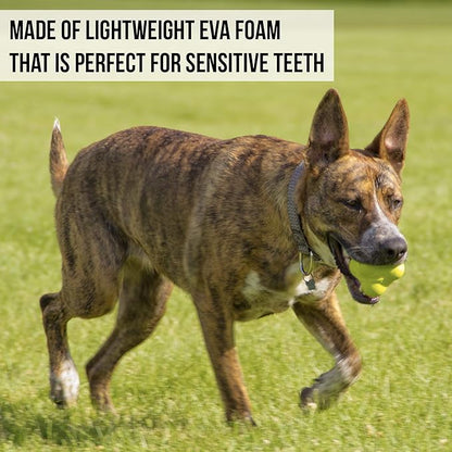Hyper Pet Fetching Dog Toys - Throwing Bumpy Ball Dog Toy Made with EVA Foam - Lightweight & Floats on Water