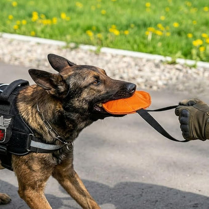 Dingo Gear Dog Tug Toy for Strong Dog, Bite Training, IGP, Fun, French Linen Disc, 5,5" Orange Berta S00092