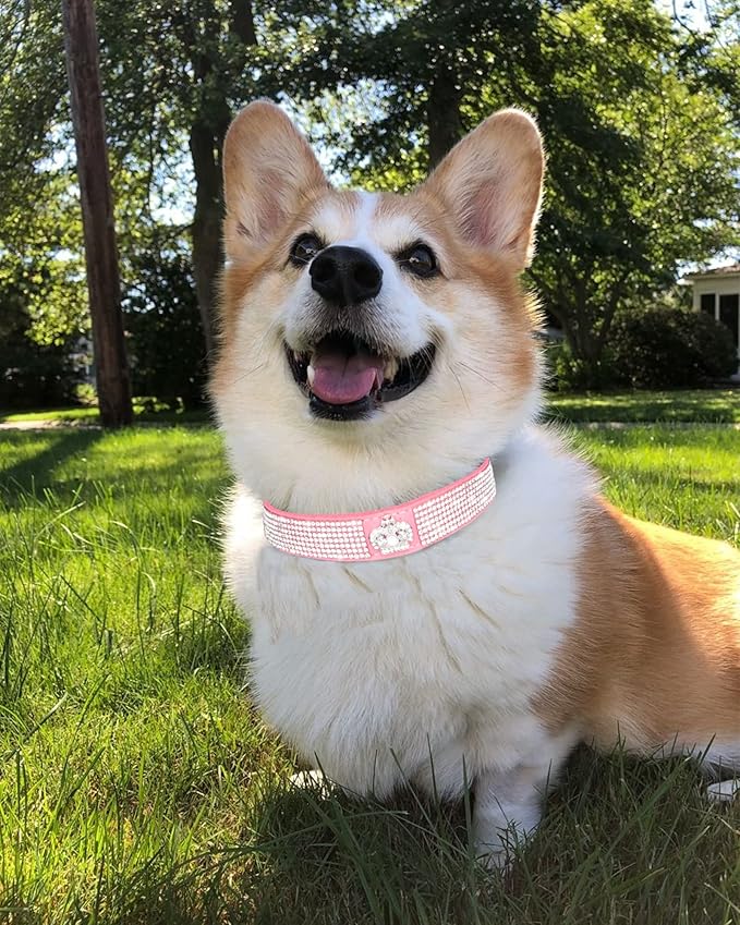 Bling Dog Collar for Small Medium Large Dogs, Crown Rhinestone Dog Collars for Girl and boy Dog, Diamond Puppy Collars, Adjustable Leather Suede SOFE Cat Collar (M(13"-15.4"/33CM-39CM), Pink)