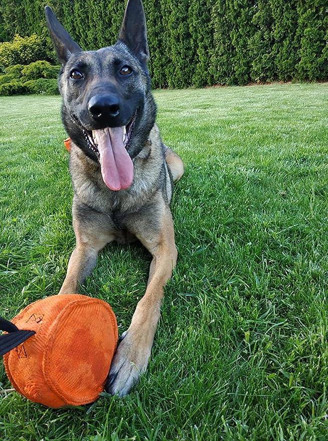 Dingo Gear Dog Tug Toy for Strong Dog, Bite Training, IGP, Fun, French Linen Barrel, 5,5x6,1" Orange Berta S00096