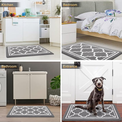 Buganda Indoor Door Mat, Dirt-Resistant and Absorbent Doormat, Anti-Slip, Low Profile Floor Mats for Inside Entryway, Front, and Back Door Entrance (30x17 Inches, Grey)