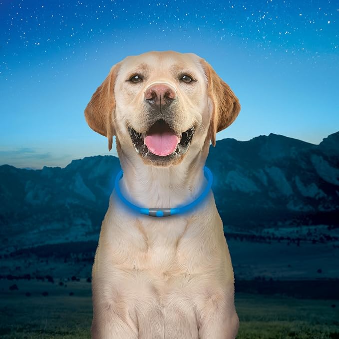 Nite Ize NiteHowl Rechargeable LED Safety Necklace - Dog Light for Dog-Walking Gear - Weather-Resistant Design - 5 Hours Runtime - Cut to Fit from 12” to 27” - Blue