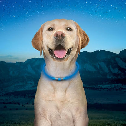 Nite Ize NiteHowl Rechargeable LED Safety Necklace - Dog Light for Dog-Walking Gear - Weather-Resistant Design - 5 Hours Runtime - Cut to Fit from 12” to 27” - Blue