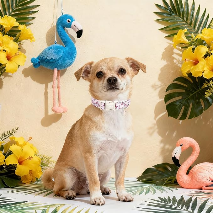 DOGWONG Cute Pet Dog Collar Pink Flamingos Cotton Dog Collar- Soft Girl Puppy Adjustable Pet Collars for Small Medium Large Dogs,XL