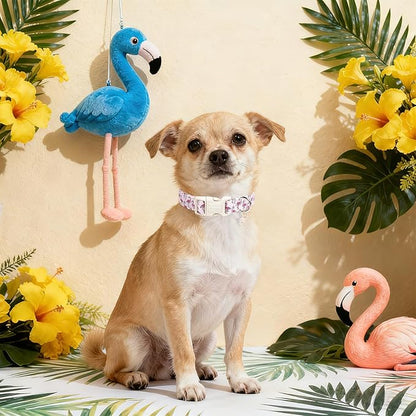 DOGWONG Cute Pet Dog Collar Pink Flamingos Cotton Dog Collar- Soft Girl Puppy Adjustable Pet Collars for Small Medium Large Dogs,XL