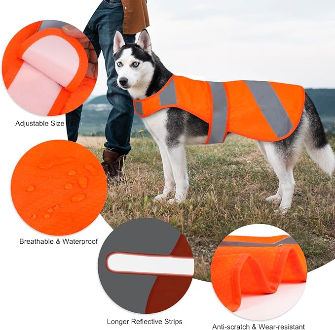 Orange High Visibility Safety Dog Vest, Hunting Jacket, Adjustable Soft Reflective Coat for Small Medium Large Dogs