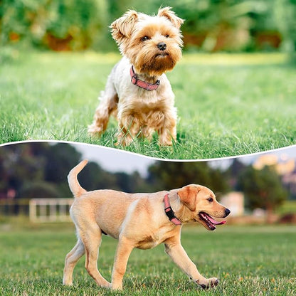 Reflective Dog Collar Padded with Soft Neoprene Breathable Quick Release Basic Dog Collars for Puppy Small Dogs Coral