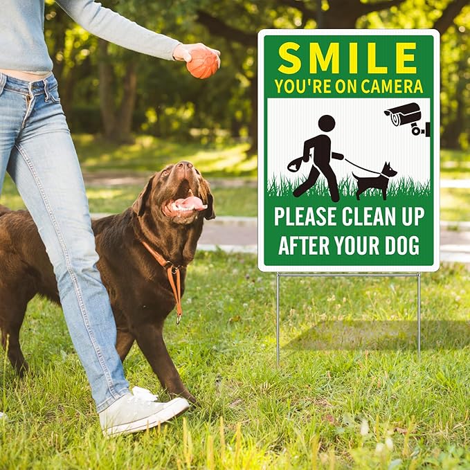 2 Pack Clean UP After Your Dog Signs, Funny Smile You're On Camera Yard Sign, 12.6X9.4 inches Corrugated Plastic Double Sided Sign with Metal H-Stake, No Pooping Dog Signs for Yard, Easy to Mount