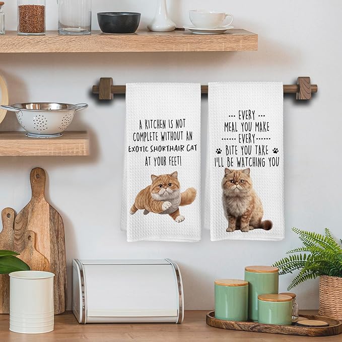 Funny Exotic Shorthair Cat Kitchen Towels, Exotic Shorthair Cat Mom Lady Lovers Gifts for Women Hand Towels, Pet Lover Gifts Dishcloths Dish Towel for Kitchen 16x24 Inches Set of 2