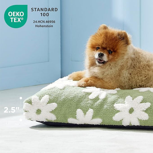 LE SURE Small Dog Beds-Thick Shredded Chopped Foam Pet Bed Gift Indoor with Removable Cover, Cute Modern Fuzzy Plush & Anti Slip Bottom, Green