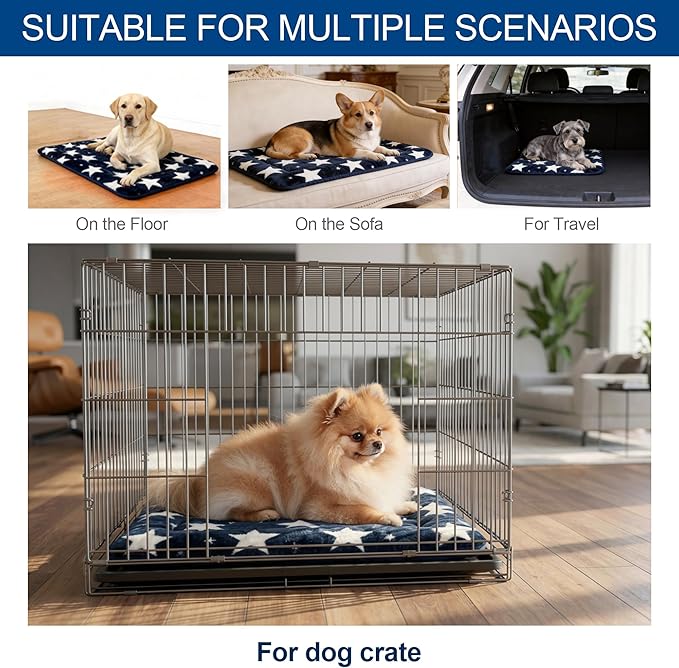 Washable Dog Bed Mat With Anti-Slip Bottom, Deluxe Plush Memory Foam Crate Pad & Waterproof Outdoor Kennel Mat For Dogs & Cats-Durable Crates Beds, Large Medium Small Puppy Size 30" x 20",Blue