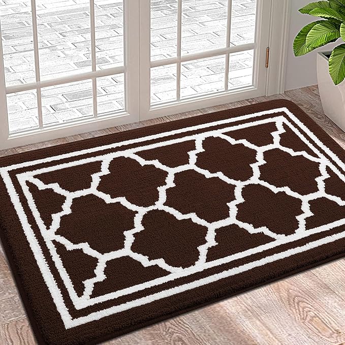 Buganda Indoor Door Mat, Dirt-Resistant and Absorbent Doormat, Anti-Slip, Low Profile Floor Mats for Inside Entryway, Front, and Back Door Entrance (36x24 Inches, Dark Brown)