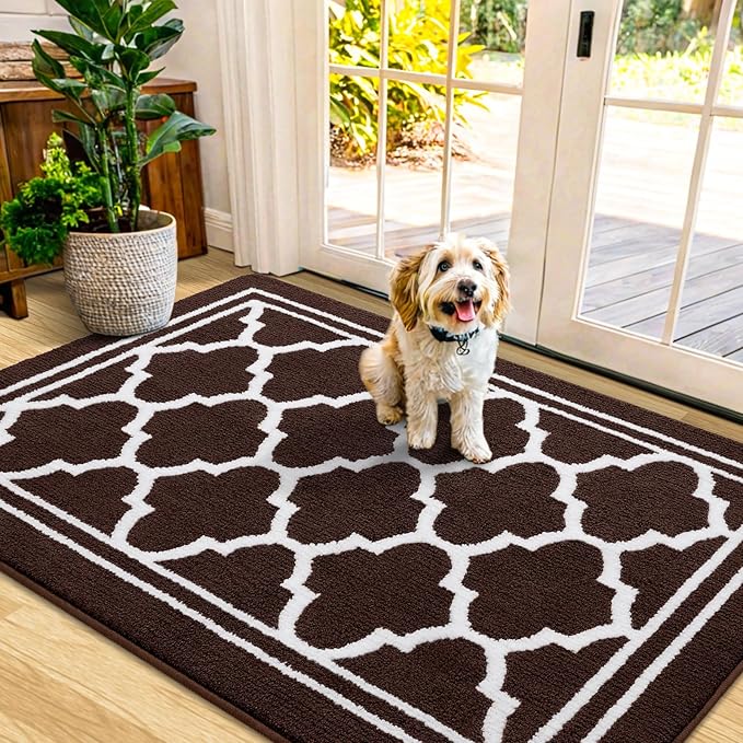 Buganda Indoor Door Mat, Dirt-Resistant and Absorbent Doormat, Anti-Slip, Low Profile Floor Mats for Inside Entryway, Front, and Back Door Entrance (48x32 Inches, Dark Brown)