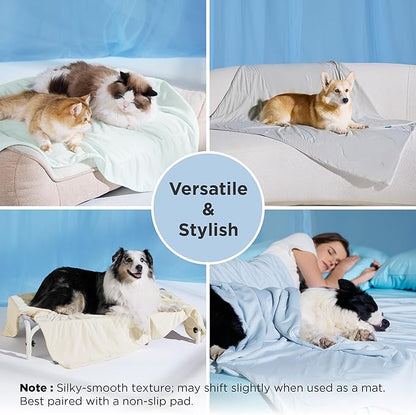 Bedsure Cooling Blanket for Bed with Breathable Air-Core Fill Q-MAX>0.4 - Lightweight Pet Cat Throw Cold Blanket Washable for Summer，Soft Dog Cooling Mat for Couch, Pale Jade, 60x80