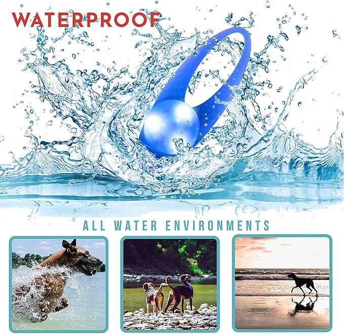 LaRoo LED Dog Collar Light - Waterproof Clip-On 3 Modes, High Visibility for Night Walking/Camping, Pet Safety Light for Small/Medium/Large Dogs (Blue)