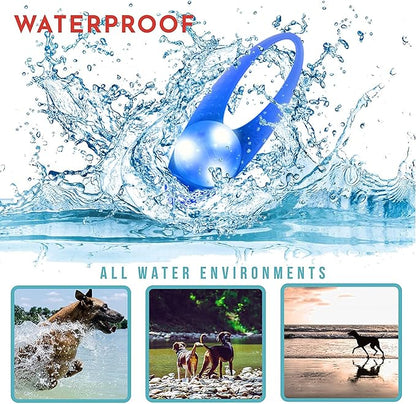 LaRoo LED Dog Collar Light - Waterproof Clip-On 3 Modes, High Visibility for Night Walking/Camping, Pet Safety Light for Small/Medium/Large Dogs (Blue)