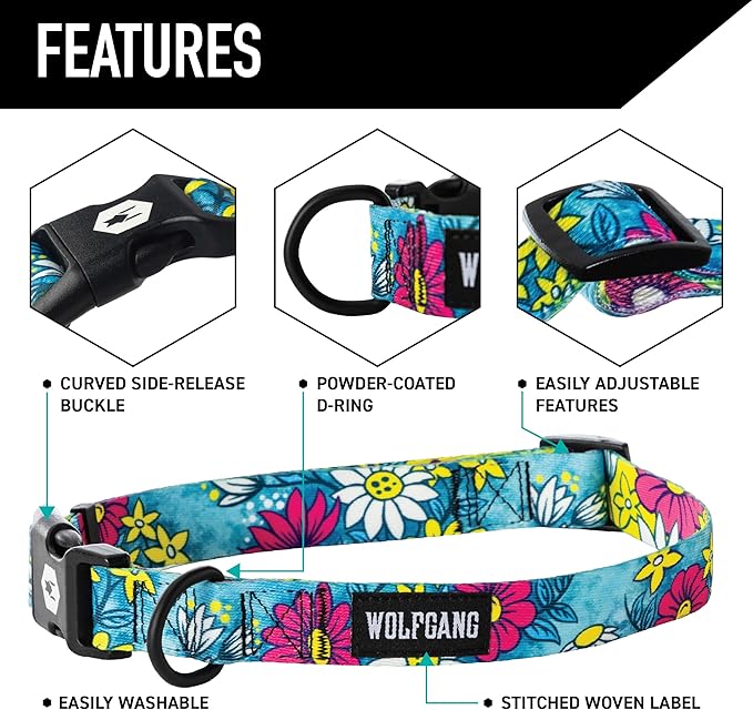 Wolfgang Heavy Duty, Adjustable Dog Collar with Quick Release Nylon Buckle for Walking & Training, LazyDaisy Print, Small