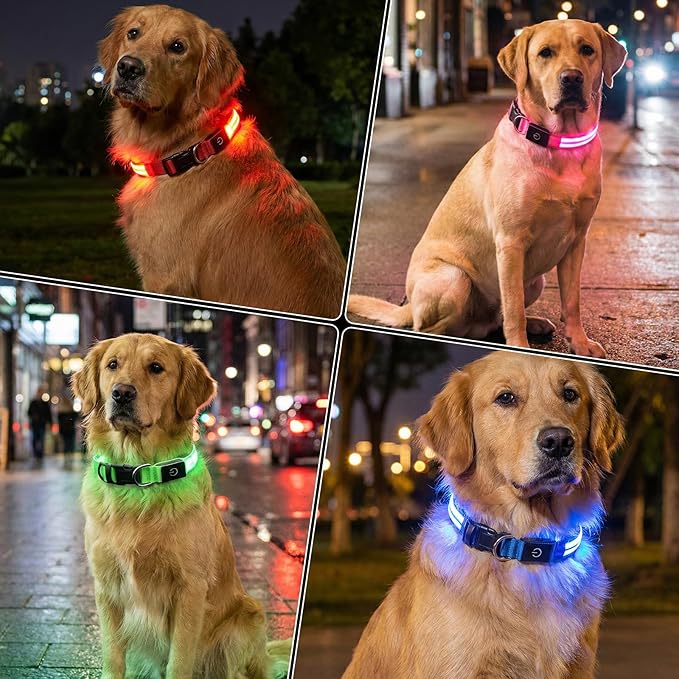 LED Light Up Dog Collar for Night Walking, Rechargeable Safety Glow Illuminated Collar with 3 Modes Flashing, Reflective Adjustable Pet Light for Small/Medium Dogs Puppy 15-19" Neck 1 Pack (Pink)