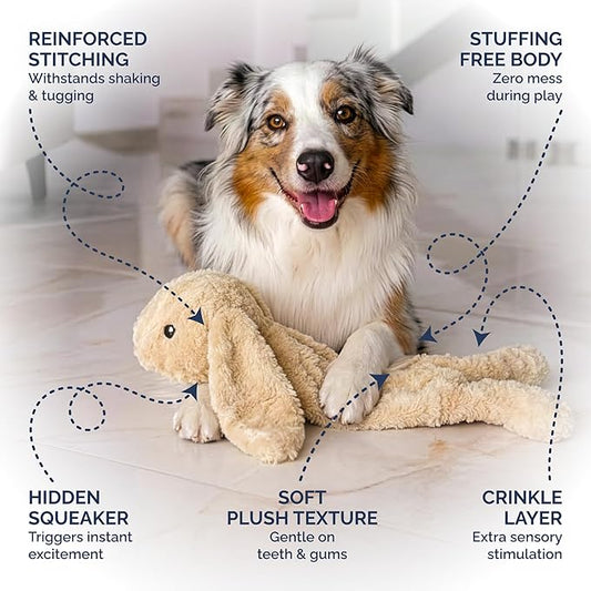 Pet Lou Floppy Rabbit Plush Dog Toy with Squeaker and Crinkle Paper, Stuffingless Dog Chew Toys, 19 Inch Durable Plush Dog Toys for Medium and Large Dogs, Tan