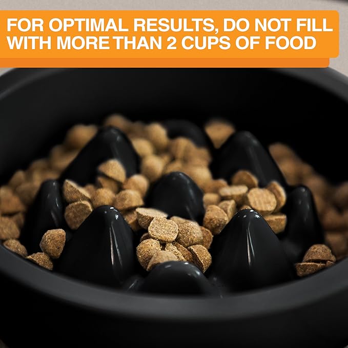 The Niner Slow Feed Bowl - Raised Peaks Slow Down Pets Eating - Fits Elevated Feeders Including Neater Feeder Large Sizes - Gentle on Teeth and Gums - Holds up to 2 Cups (Black)