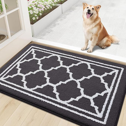 Buganda Indoor Door Mat, Dirt-Resistant and Absorbent Doormat, Anti-Slip, Low Profile Floor Mats for Inside Entryway, Front, and Back Door Entrance (30x17 Inches, Dark Grey)