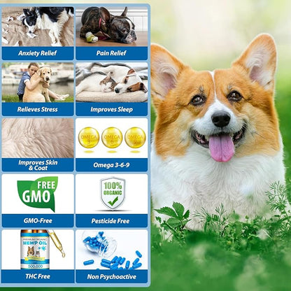 Oil for Dogs & Cats 60ML,Pet Oil for Pain,Skin,Arthritis Pain,Pain Relief,Calming,Omega 3,6,9 for Dog Emotions,Barking & Dog Joints,Supports & Maintains Healthy Joints (1 Pack, Blue)