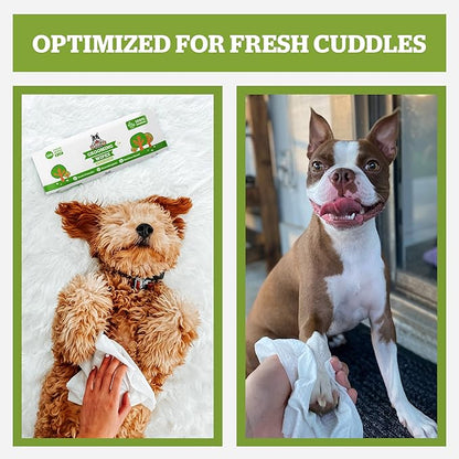 Pogi’s Dog Grooming Wipes – Hypoallergenic Pet Wipes for Paws, Body & Butt – Cleaning & Hydrating, Green Tea Scent, 100-Count